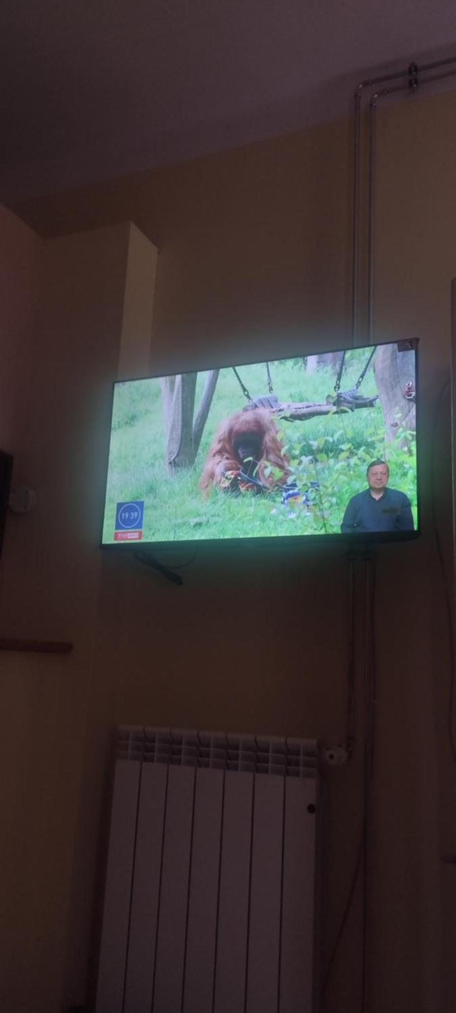 Zrodlana13 Apartamenty Makow Podhalanski Dış mekan fotoğraf